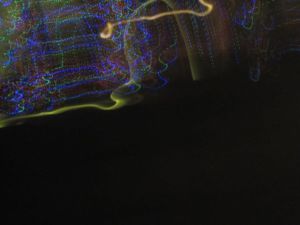 Lichter 5 Kinder quer